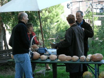 IL BANCHETTO D'ACCOGLIENZA CON LE ZUCCHE DEL CASALE