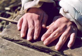 ...eseguendo ciascuno una diversa mansione...