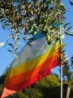 CoLTUR di Pace in Palestina campagna 2009