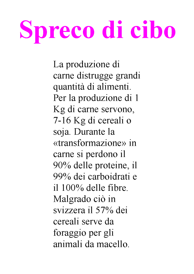 Spreco di cibo