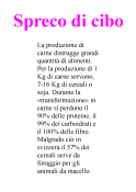 Spreco di cibo