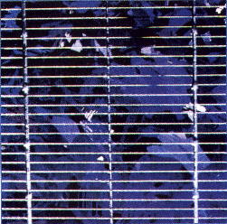 UNA CELLA DI SILICIO POLICRISTALLINO  da Energia elettrica dal Sole a cura di F. P.  Vivoli, ISES ITALIA 1998