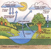 IL CICLO DELL'ACQUA, da A come Ambiente, TOURING CLUB ITALIANO, 1991