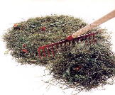 I RIFIUTI ORGANICI SONO LA BASE DEL PROCESSO DI COMPOSTAGGIO, foto tratte da Guida pratica alla raccolta differenziata dei rifiuti, Provincia di  Cremona, 1994
