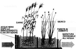SCHEMA DI UN IMPIANTO DI FITODEPURAZIONE, da Bioarchitettura, anno II, n.45, 1995