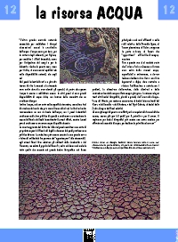 pannello n.12 - LA RISORSA ACQUA