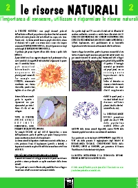 pannello n.2 - Le RISORSE NATURALI - l'importanza di conoscere, utilizzare e risparmiare le risorse naturali