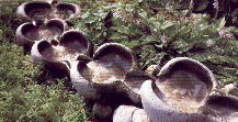 OSSIGENAZIONE DELL'ACQUA, da La casa ecologica, TOURING CLUB, 1989