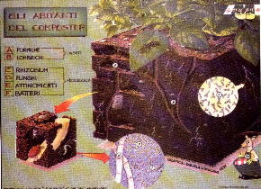 CHI E' CHE PRODUCE IL COMPOST, da L'ambiente come valore, AMA 1999
