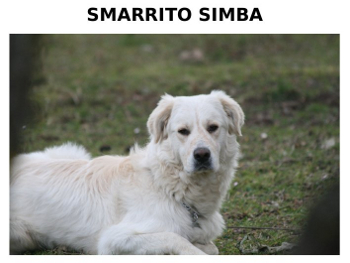 avviso in formato pdf